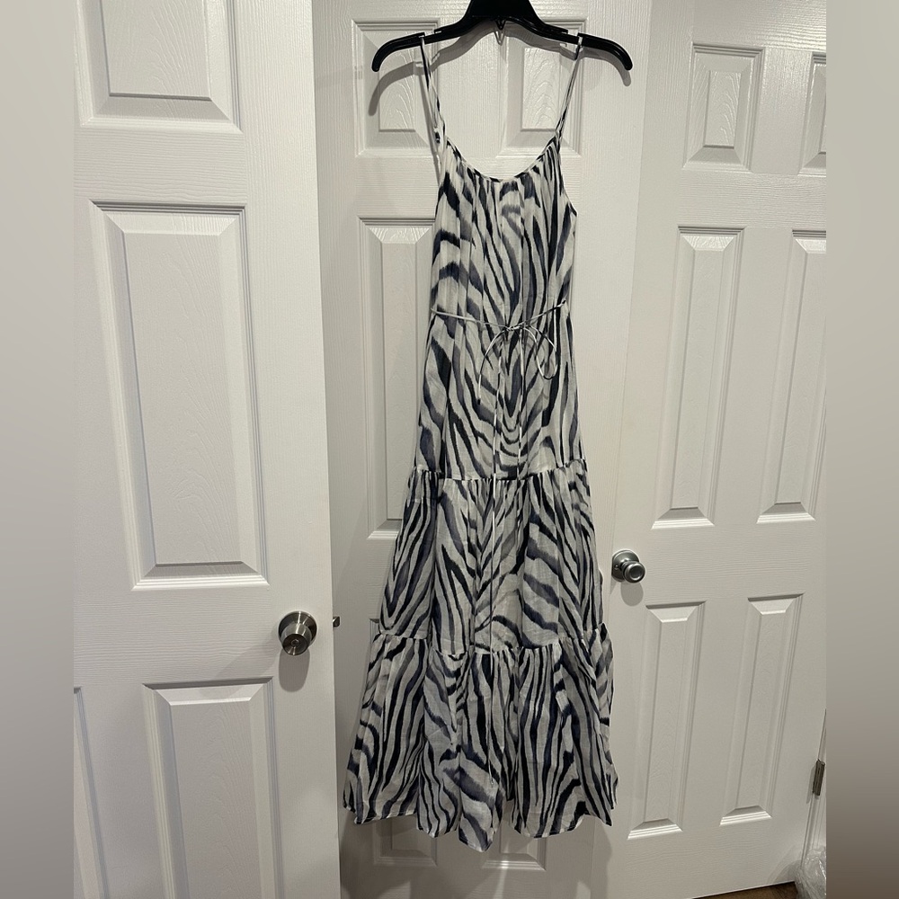 Banana Republic Canna Ramie Maxi dress